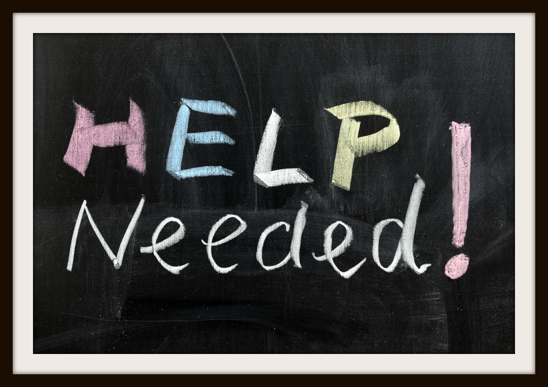 Help Needed! - The Georgia Mattson Memorial Shelter